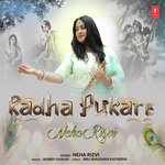 Neha Rizvi Songs MP3 Download